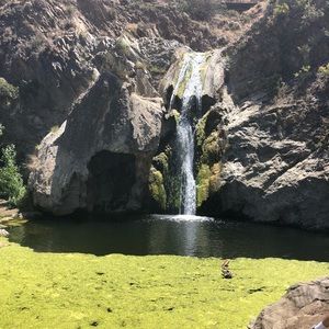 Meet your Posher, Emmanuel